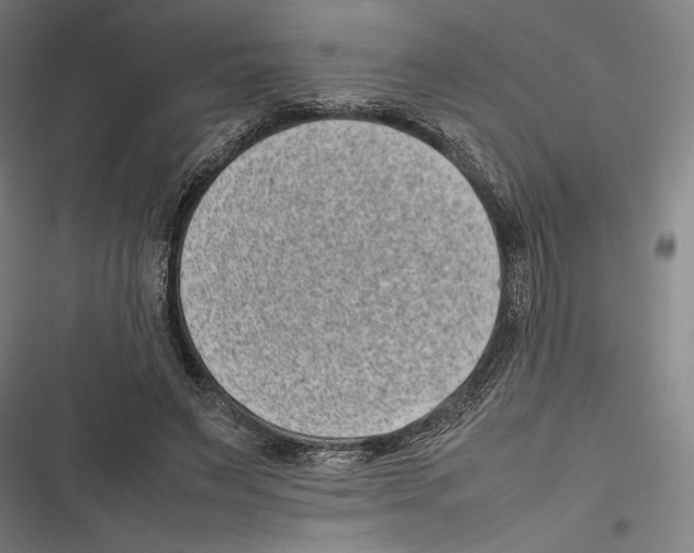 X0000116600495201001081152