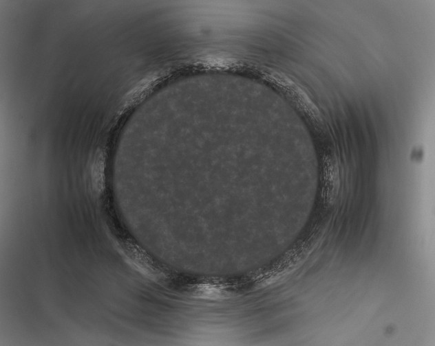 X0000116600496201001081152