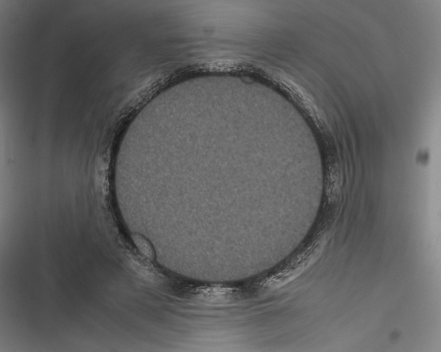 X0000116600497201001081152
