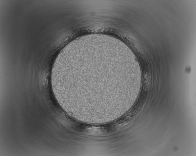 X0000116600499201001081152