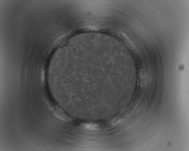 X0000116600500201001081152