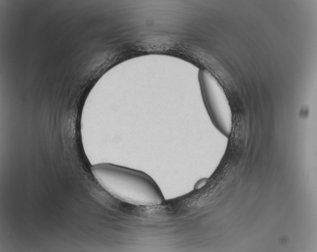 X0000116600501201001081152