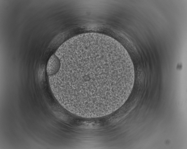 X0000116600502201001081152