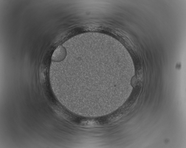X0000116600503201001081152