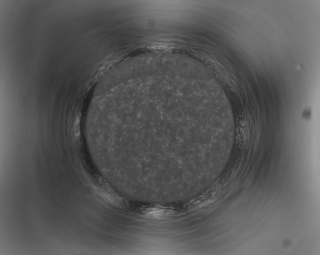 X0000116600504201001081152