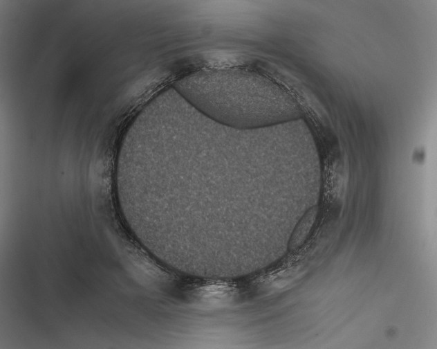 X0000116600505201001081152