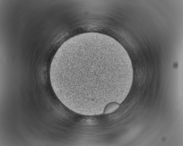 X0000116600506201001081152