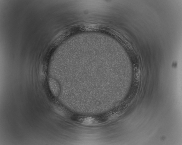 X0000116600507201001081152