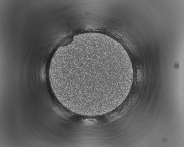 X0000116600508201001081152