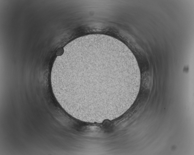 X0000116600509201001081152