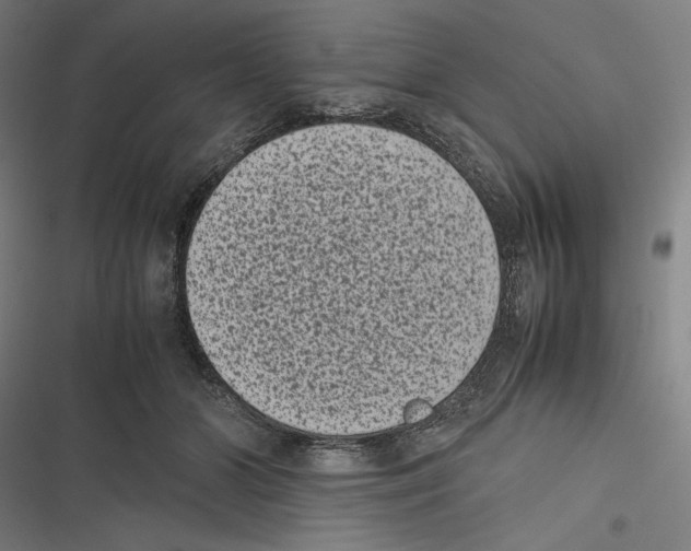X0000116600510201001081152