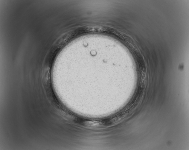 X0000116600511201001081152