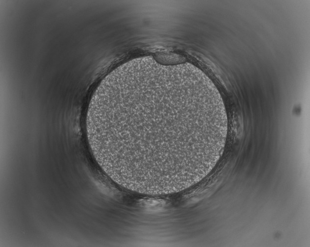 X0000116600512201001081152