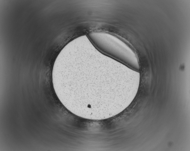 X0000116600513201001081152