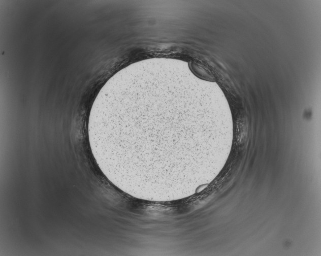X0000116600515201001081152
