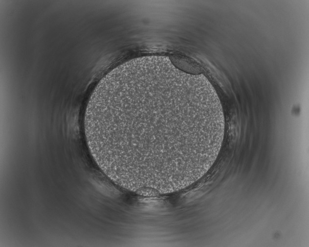 X0000116600516201001081152