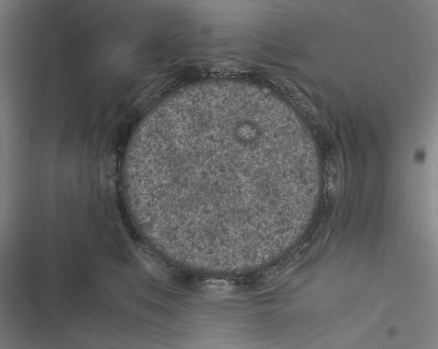 X0000116600519201001081152