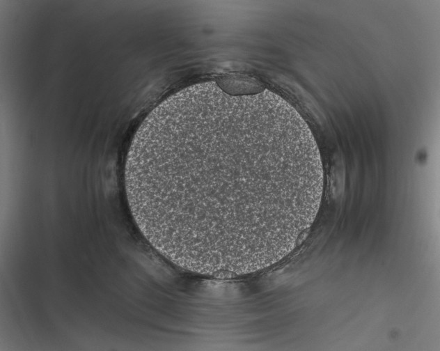 X0000116600520201001081152