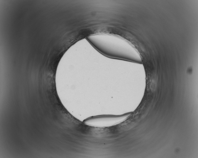X0000116600521201001081152