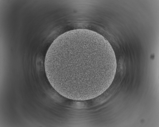 X0000116600522201001081152