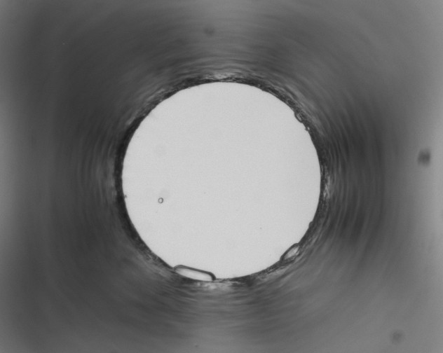 X0000116600524201001081152