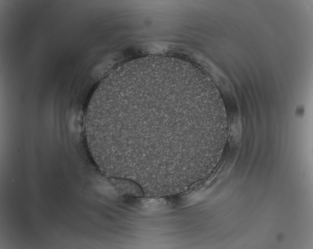 X0000116600525201001081152