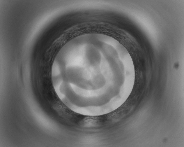 X0000116600526201001081152
