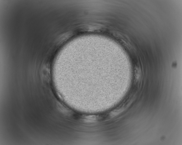 X0000116600527201001081152
