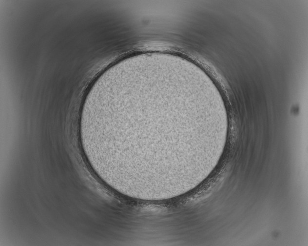 X0000116600529201001081151
