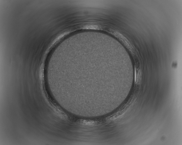 X0000116600531201001081151