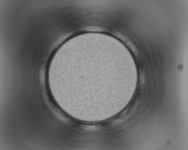 X0000116600533201001081151