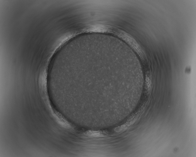 X0000116600534201001081151