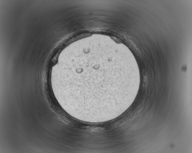 X0000116600539201001081151
