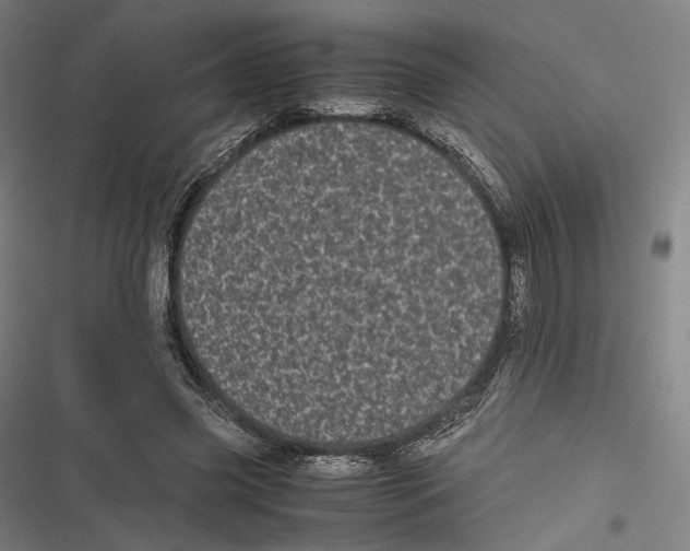 X0000116600541201001081151