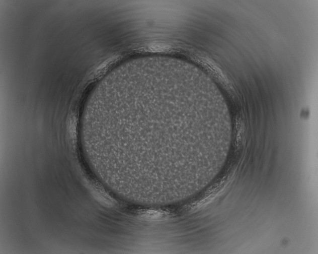 X0000116600542201001081152