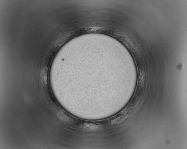 X0000116600545201001081152