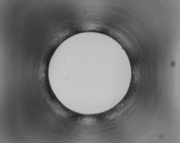 X0000116600546201001081152