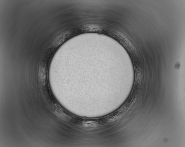 X0000116600549201001081152