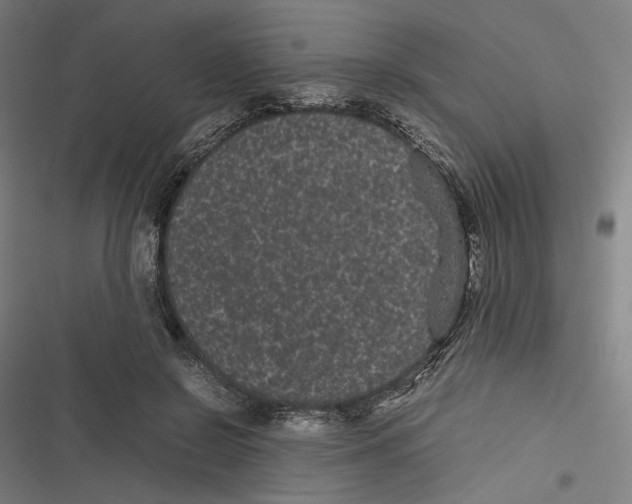 X0000116600550201001081152