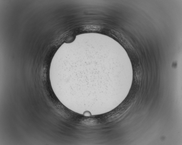 X0000116600551201001081152