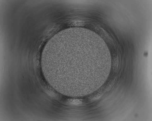 X0000116600553201001081152