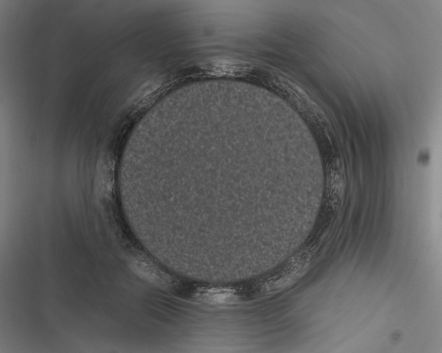 X0000116600554201001081152
