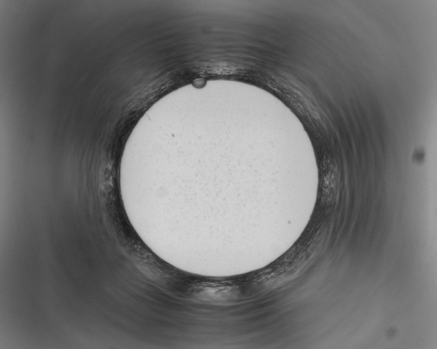 X0000116600555201001081152