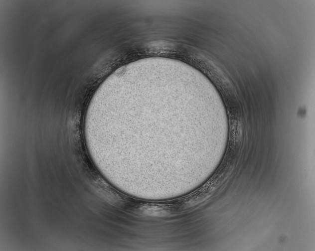 X0000116600557201001081152