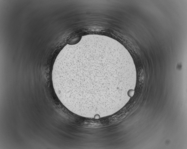X0000116600559201001081152