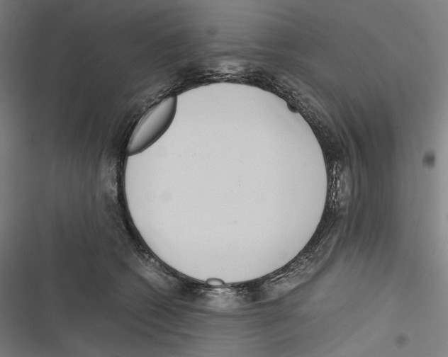 X0000116600562201001081152
