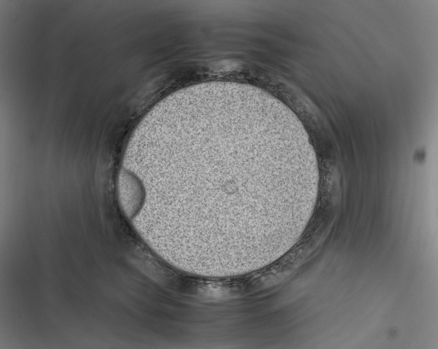 X0000116600565201001081152