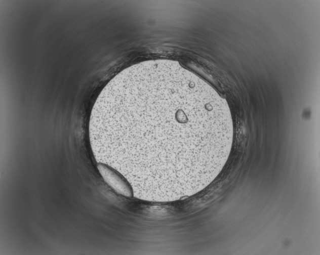 X0000116600566201001081152