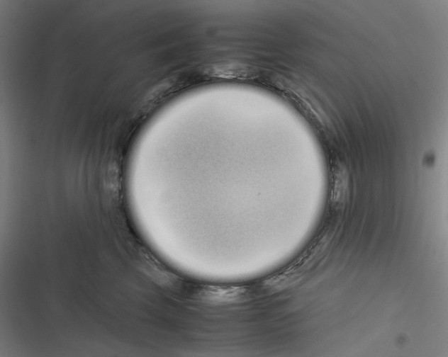 X0000116600569201001081152
