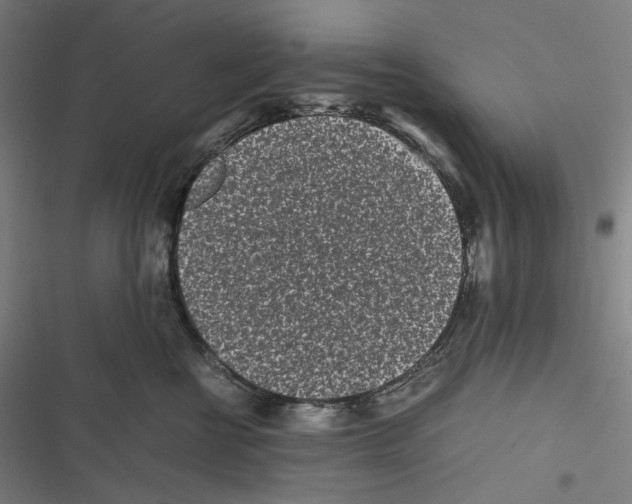 X0000116600570201001081152